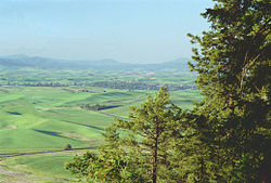 Palouse from Kamiak Butte