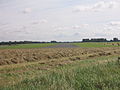 Landschap