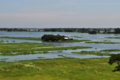 Il ramo del Meghna nel delta del Gange