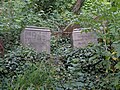 Alter Jüdischer Friedhof in Cieszyn (deutsch Teschen)