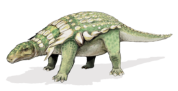 Edmontonia rugosidens