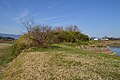 Site of the pagoda