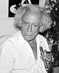 Regisseur Samuel Fuller