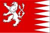 Flag of Svojanov