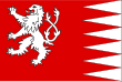 Vlag