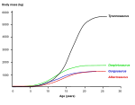 صورة SVG جديدة