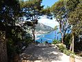 The view of Capri from the front porch