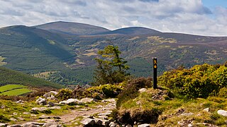 Der Wicklow Way nahe Curtlestown