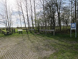 Toegang tot de Bouwepet (noordzijde) en het zwerfsteenmonument. Op de achtergrond exmoorpony's.