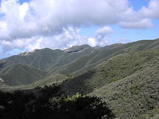 Chaparral in den Santa Ynez Mountains