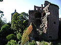 Heidelberger Schloss