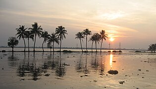 Backwaters at sunset