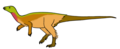 Notohypsilodon