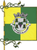Flag of Fornos de Algodres