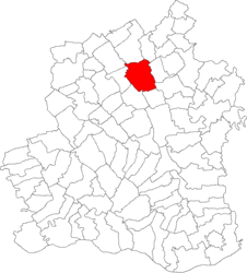 Location in Teleorman County