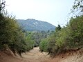 Wanderweg nahe Várpalota