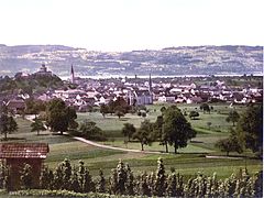 Uster um 1900, links das Schloss, im Hintergrund der Pfannenstiel