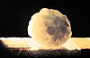 Aggregate hailstone. Large hailstone with smaller stones visible.