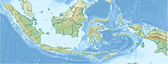 Mapa konturowa Indonezji, blisko centrum na lewo u góry znajduje się czarny trójkącik z opisem „Góry Schwanera”