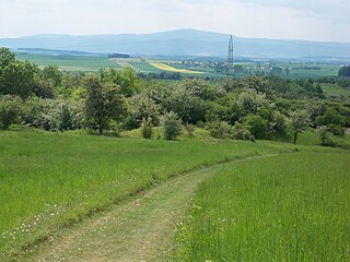 Blick vom Ösel Richtung Brocken über das Harzvorland