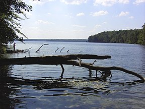 Der Große Stechlinsee