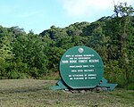 Tobago Main Ridge Forest Reserve