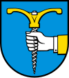 Wappen von Benzenschwil