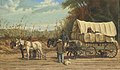 Cotton Wagon