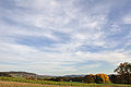 Blick von Gennersbrunn Richtung Dörflingen