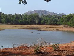 Landschaft bei Pachmarhi