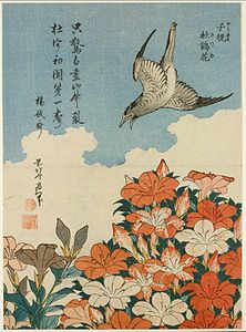 Küçük Çiçek serisinden Guguk Kuşu ve Açelyalar, 1834