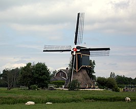 Molen en voormalig molenaarshuis