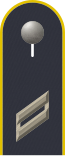 Dienstgradabzeichen auf der Schulterklappe der Jacke des Dienstanzuges für Luftwaffenuniformträger.