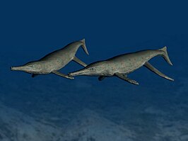 Metriorhynchus