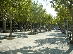 Place des Lices