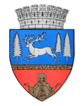 Wappen von Bacău