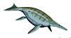 Ichthyosaur