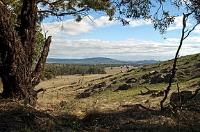 St.-Arnaud-Range-Nationalpark (2011)