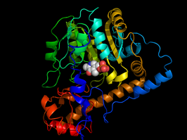 Aspartaat aminotransferase van Escherichia coli gebonden met cofactor pyridoxaalfosfaat.[1]