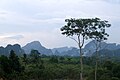 Limestone landscape around Krabi town