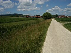 Mettmenhasli mit Regensberg und Lägern