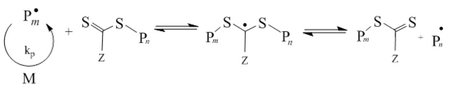 Chain equilibration step