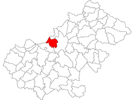 Location in Satu Mare County