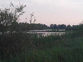 De Welle (eiland), gelegen tussen Hank en IJssel, bestaand uit meerdere dijkjes en plassen