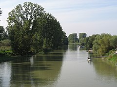 Kühkopf-Stockstädter Altrhein