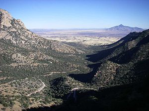 View from Montezuma Pass looking east