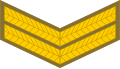 Corporal (South African Army)[60]