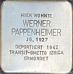 Stolperstein für Werner Pappenheimer