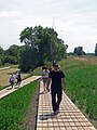 Tadashi Kawamata auf dem Weg zum Turm