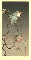 Watanabe Shōtei, Blue Birds at Night, 1851–1918